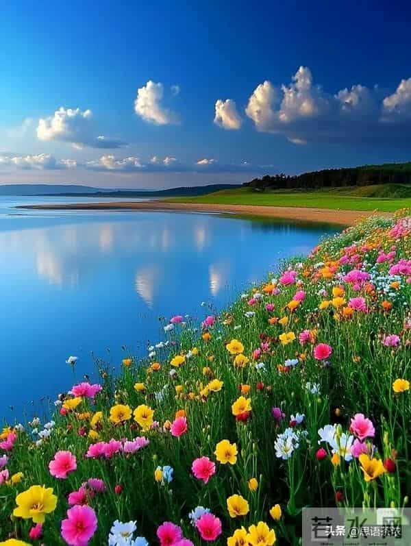 情感：女人想让你泡，5个信号不用猜，马上错过就不在来…