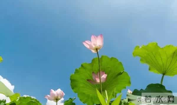 巨蟹座：12.16日后喜事将至，好运如期赴约