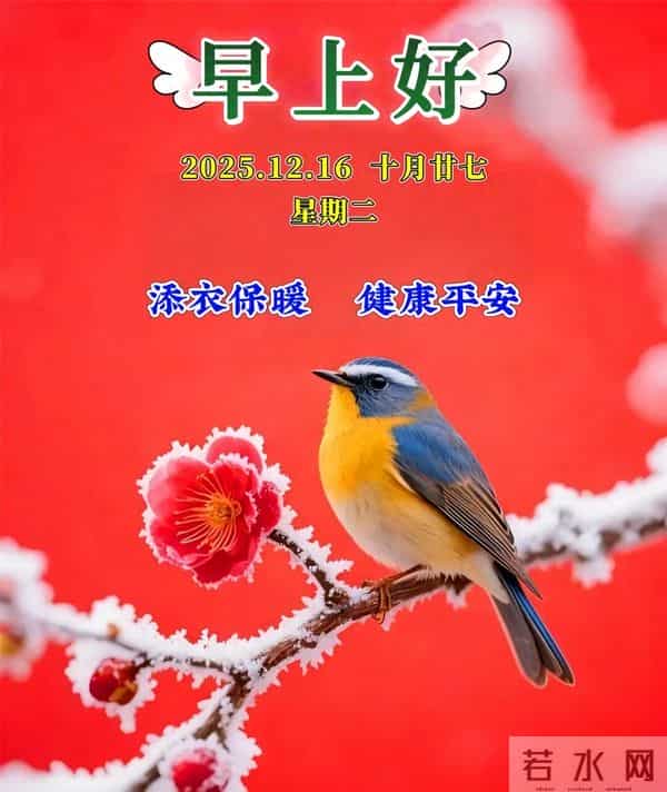 12月16日-漂亮周二早安祝福图片，早安祝福语精选