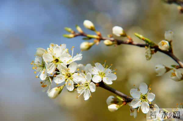 女人真心想你了，不会直接说“我想你”，而是给你这些暗示