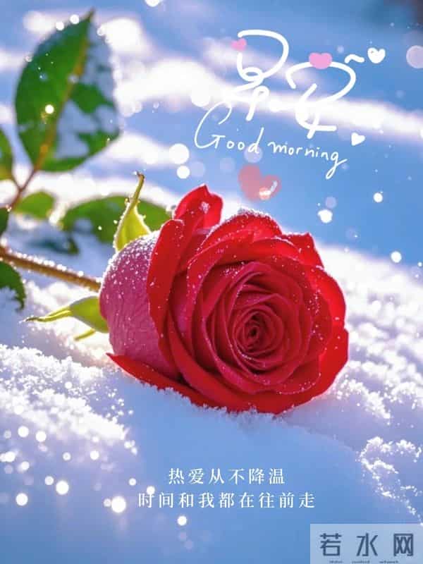 2025.12.15 冬天周一早上好!最新精美周一早安愉快温馨祝福图片