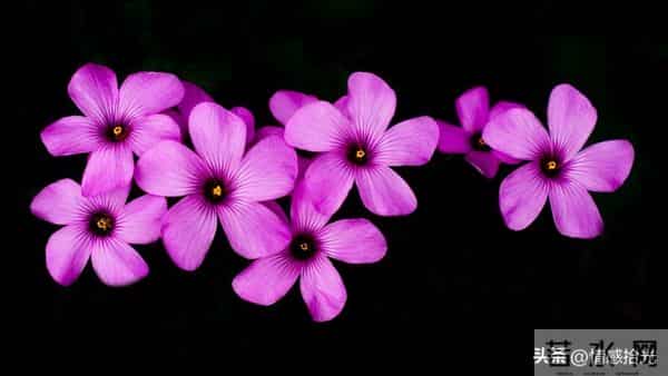 从今天起，所有霉运全部清零！未来日子，全是顺风顺水、别忘接收