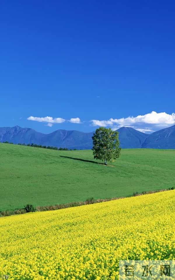 性与命和寿的关系:好命长寿的男人,往往身上有这几种特征!