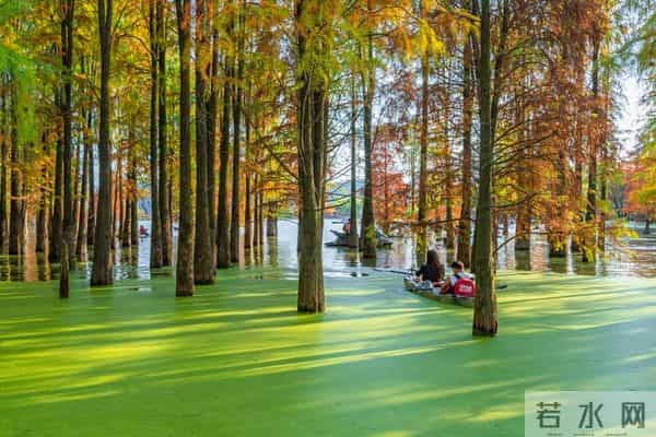 人到60岁，必须做到以下10点，将会更幸福