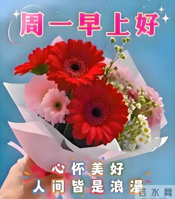 周一早安高级感拉满、13段精致文案+精选美图，祝福不敷衍