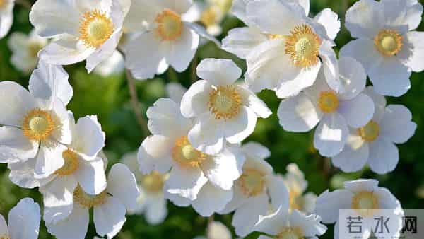 天蝎座，计划不如变化快，12月15日，未来8天，喜从天降！