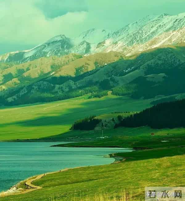 丧偶让我们跌入深渊，从此命运被划成前世与今生