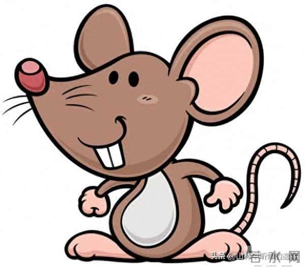 1972属鼠人2026年，机遇来，万事兴