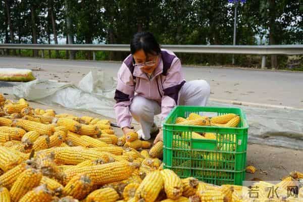 “这样的儿媳打着灯笼都难找！”她是济南太平街道有口皆碑的“好儿媳”郑云霞