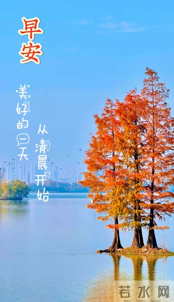 2025年12月15日周一早安 早上好图片最新今天 温馨淡雅的早安图片