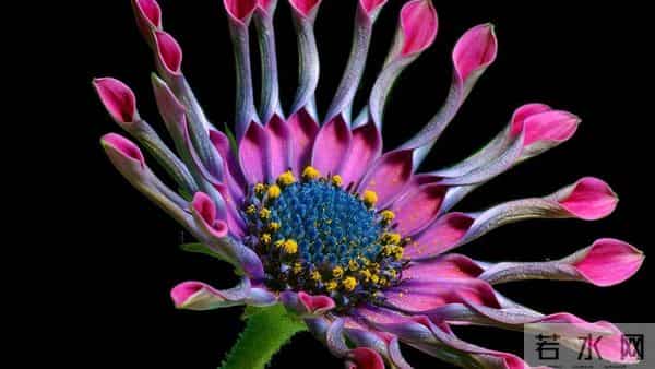 12月16号至12月19号，星期二，子鼠，有事发生了