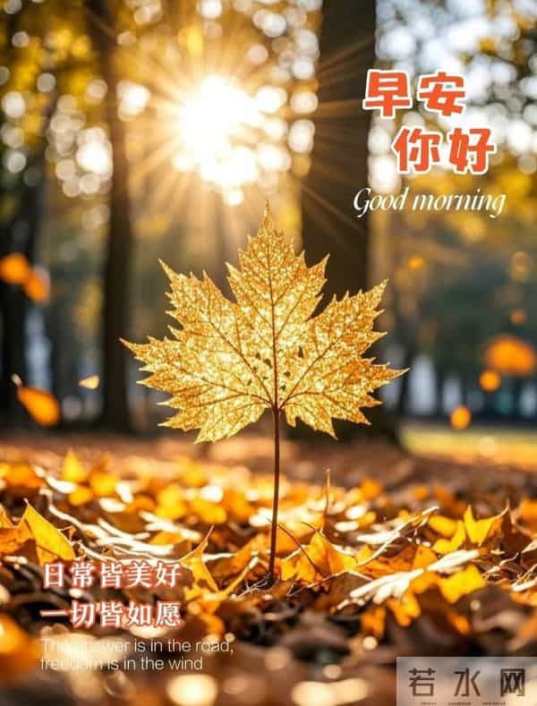 早安！冬雪皑皑覆山河。愿你心有所栖，梦有所归，岁岁长安宁！