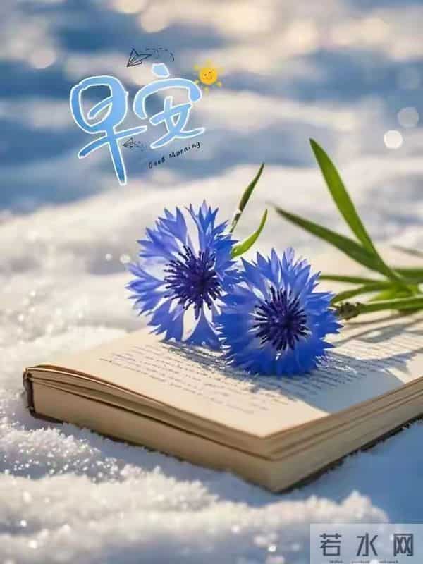 2025.12.16 冬天周二早安愉快！最新精美周二早上好温馨祝福语图片