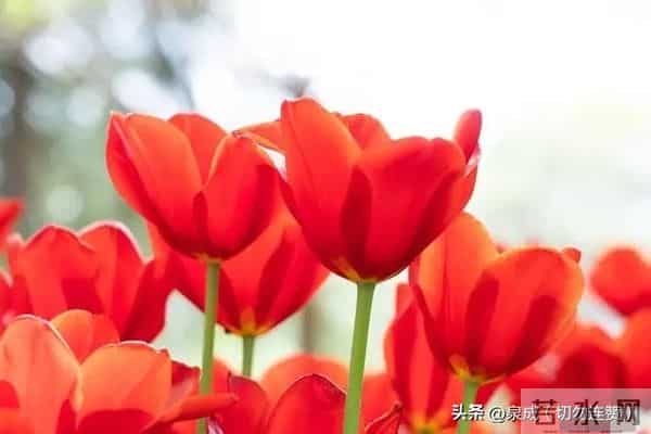 夫妻到了七十岁,还能同居,只有三种情况