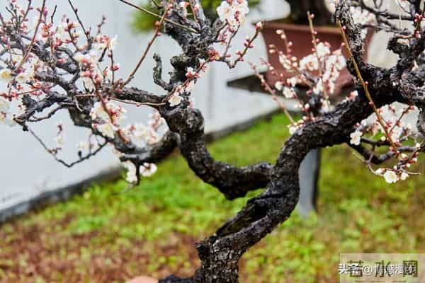 年过60,异性主动靠近不是桃花运,而是藏在岁月里的现实真相