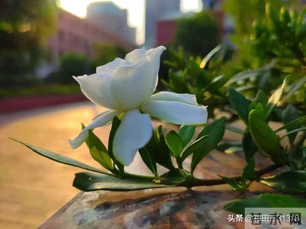 人这一辈子，想多了全是问题，做起来全是答案。