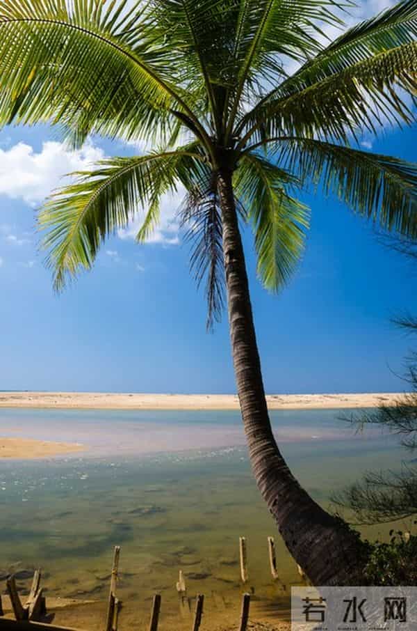 女人爱不爱你，身体语言很诚实