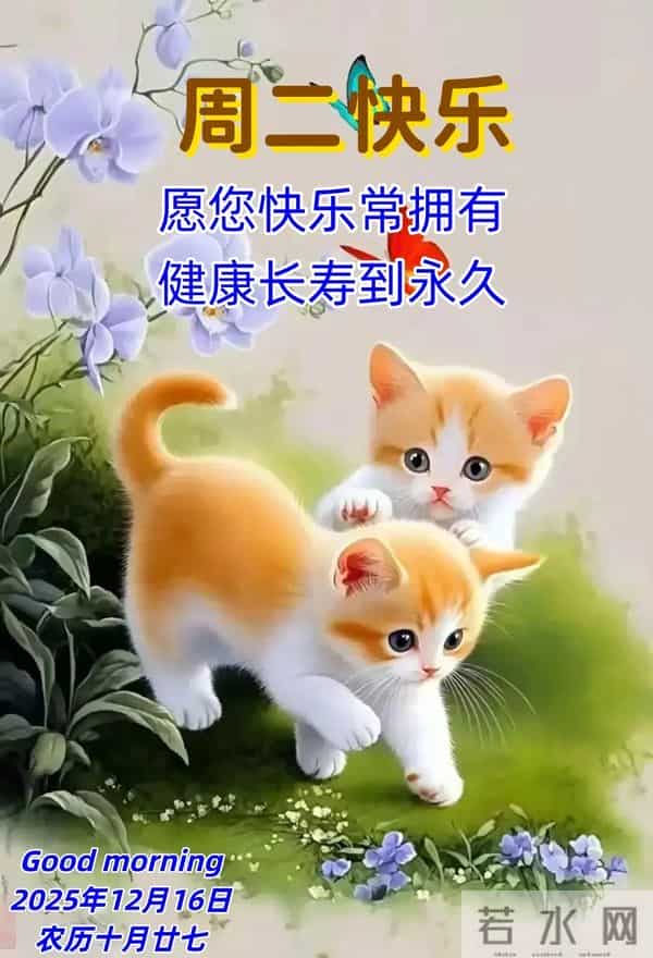 2025年12月16日周二早安！精彩创意祝福语、最新美图精选