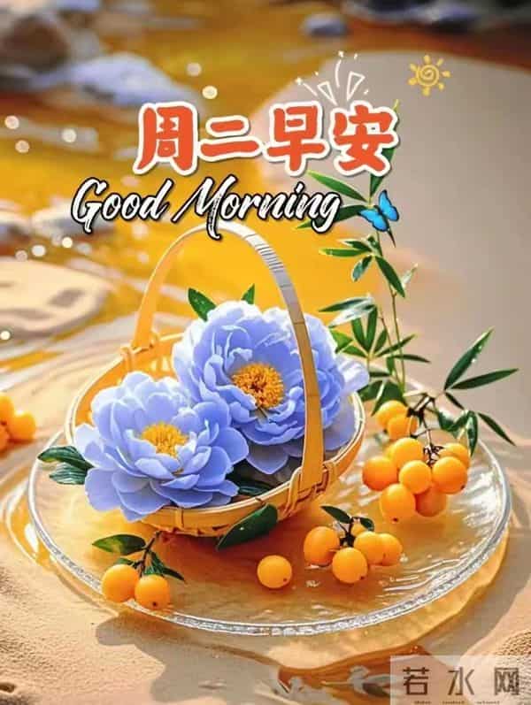 2025.12.16 冬天周二早安愉快！最新精美周二早上好温馨祝福语图片