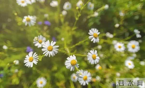 和女人相处久了才懂:除了生理需求,她们更渴望这3种深层满足