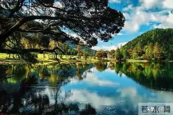 一个女人，愿意跟你保持特殊的关系，一定不要伤害她，她会伤心的