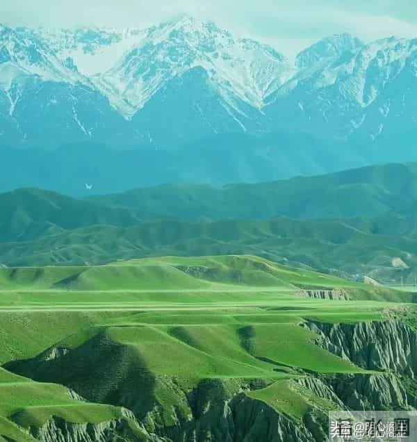 丧偶让我们跌入深渊，从此命运被划成前世与今生