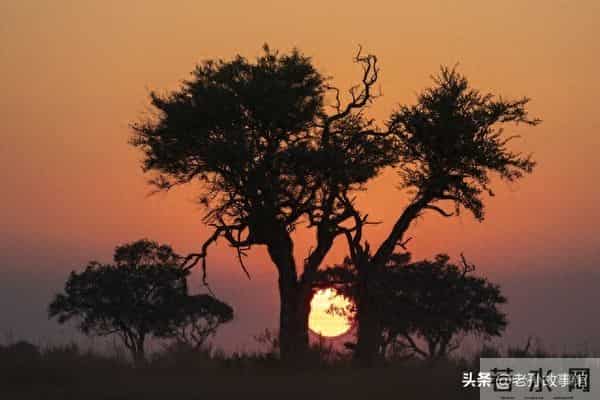 夫妻过了五十岁，最忌讳做这三件事，否则婚姻必然走向尽头