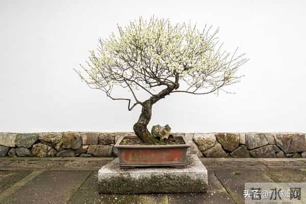 年过60,异性主动靠近不是桃花运,而是藏在岁月里的现实真相