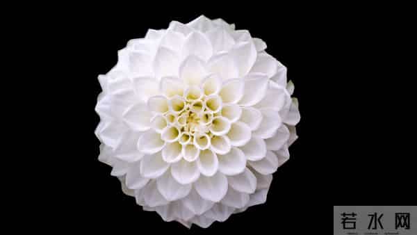 射手座！12月15日12月16日，不要怀疑，这是天运！