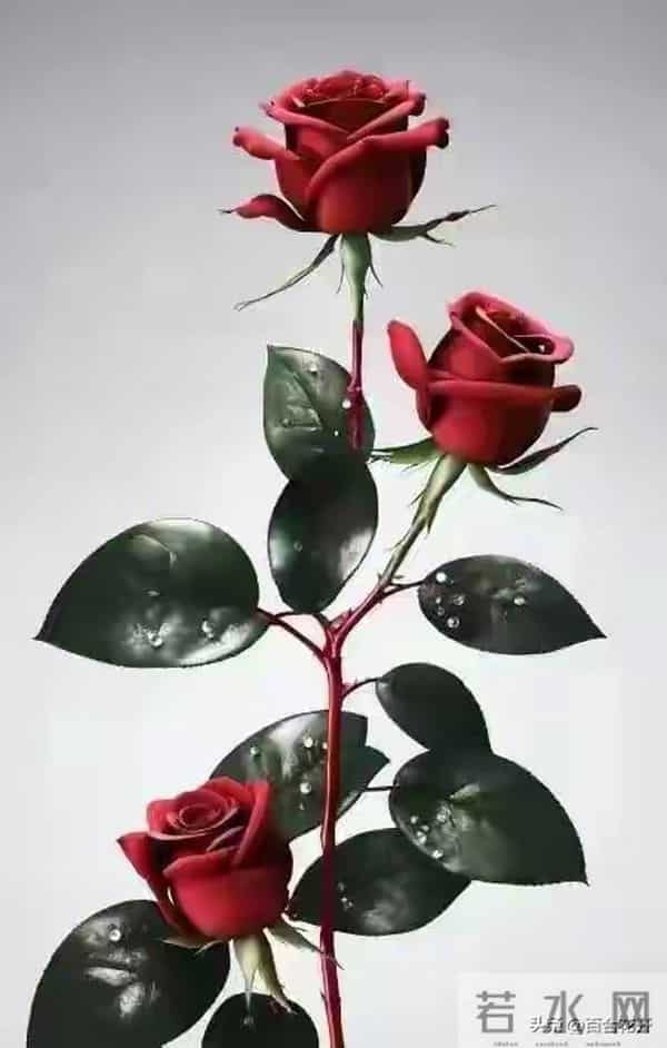 切记：人过60，永远不要在熟人面前，说以下几句话，谁说谁后悔