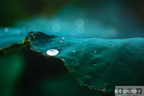 男女关系升温，试试这3步“肢体撩拨”，中年男人必修课！