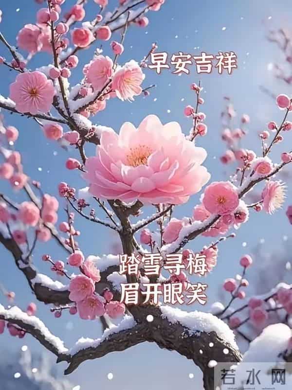 2025.12.16 冬天周二早安愉快！最新精美周二早上好温馨祝福语图片