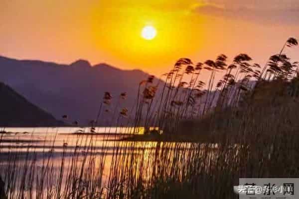 两性关系-不管你信不信,男性过了75岁后,基本都有这5个现状