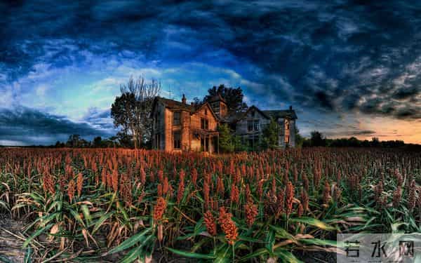 与其讨好女婿，不如让他高攀不起：高段位的岳父岳母都有这些认知