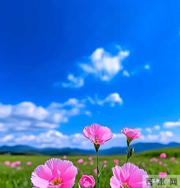 警惕！异性之间，一旦开始“私下见面”，关系就很难纯洁了！