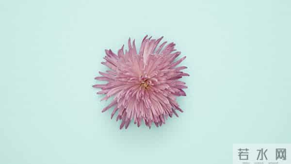 申猴，12月15日16日最大的“坎”，可能不是事，而是人