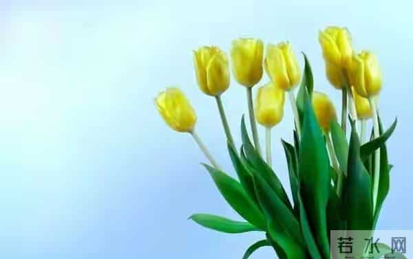 人到了一定年纪,你要知道一个道理,天大的事,只要顺其自然…