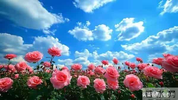 两性交往，刺激女人荷尔蒙的6个“心”开关，让她彻底为你沦陷