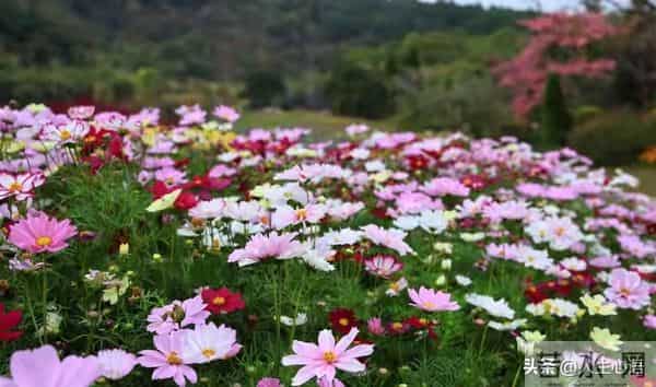 两性关系-55一65岁黄金十年，最高级的惜命，是修好这6颗“心”