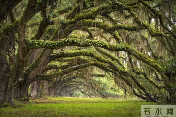 人到60岁，必须做到以下10点，将会更幸福