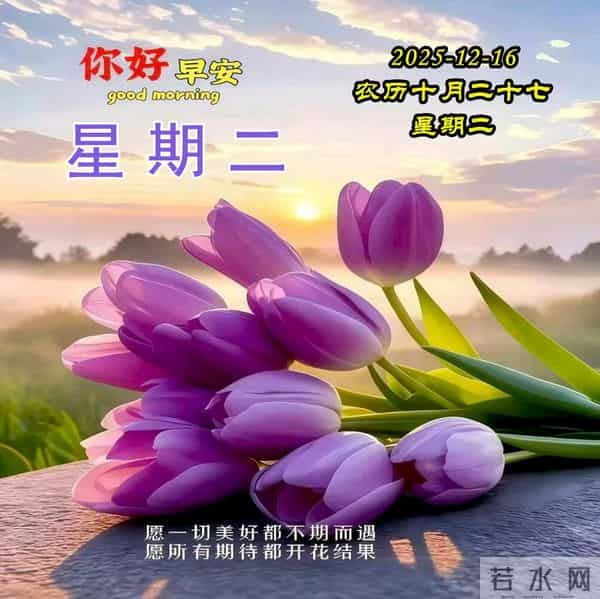 周二早安美图-一字一句总关情，一朝一夕皆圆满。