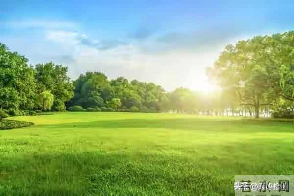 两性关系:如何在早上起床发一句,让异性惦记你好几天,别不懂!