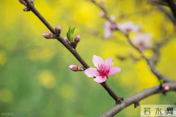 当你老了,躺在病床上就会明白:真正陪你走到最后的,只有一个人