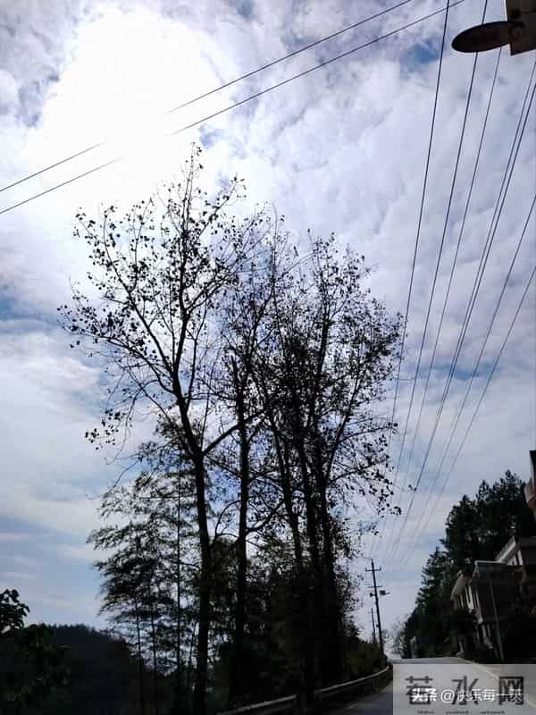 60多岁的老大嫂说,照顾失能的老人,真的好难好难。