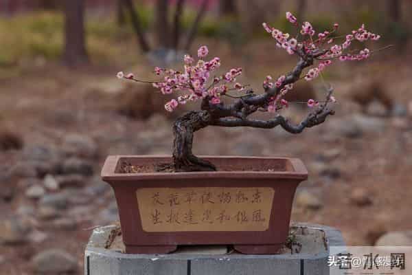 年过60,异性主动靠近不是桃花运,而是藏在岁月里的现实真相