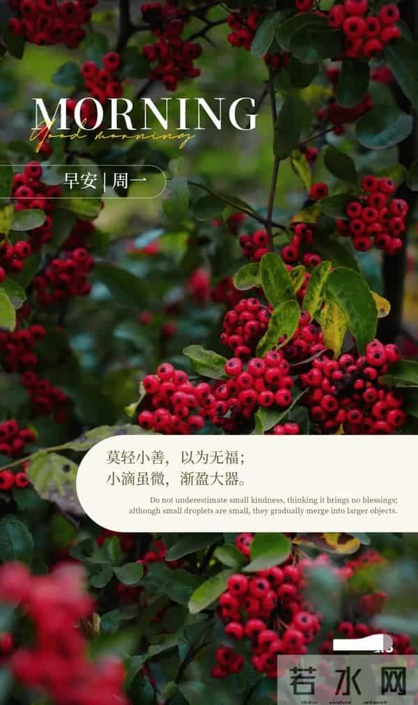 2025.12.15冬天周一早安愉快！最新精美周一早上好温馨祝福语图片