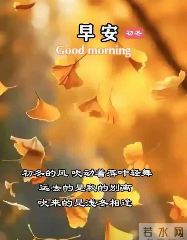 2025.12.15今日十月廿六——早上好，周一祝福问候语，早安图片