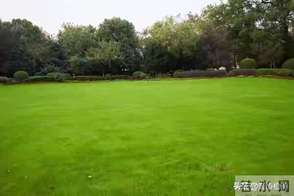 两性关系:如何在早上起床发一句,让异性惦记你好几天,别不懂!