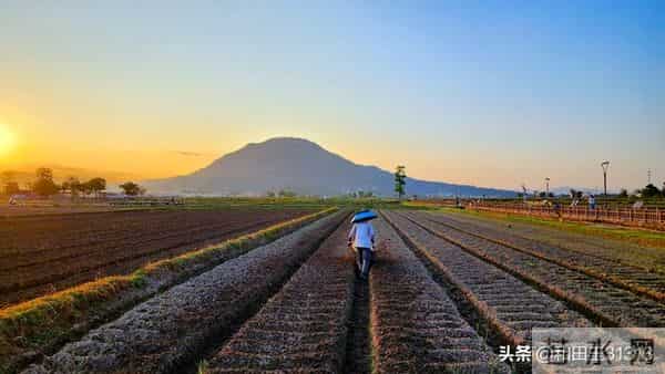 开心是一天，不开心也是一天，所以为什么，就不能开心一点
