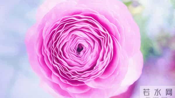 12月15号至12月18号，星期一，酉鸡，即将有事发生！